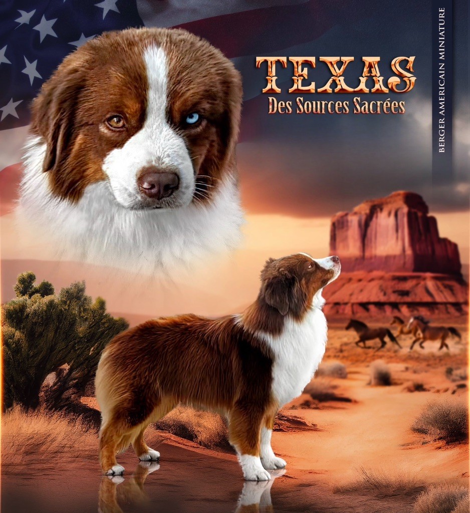 Texas Des sources sacrees