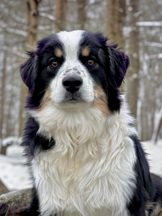 full throttle Kiss a dream