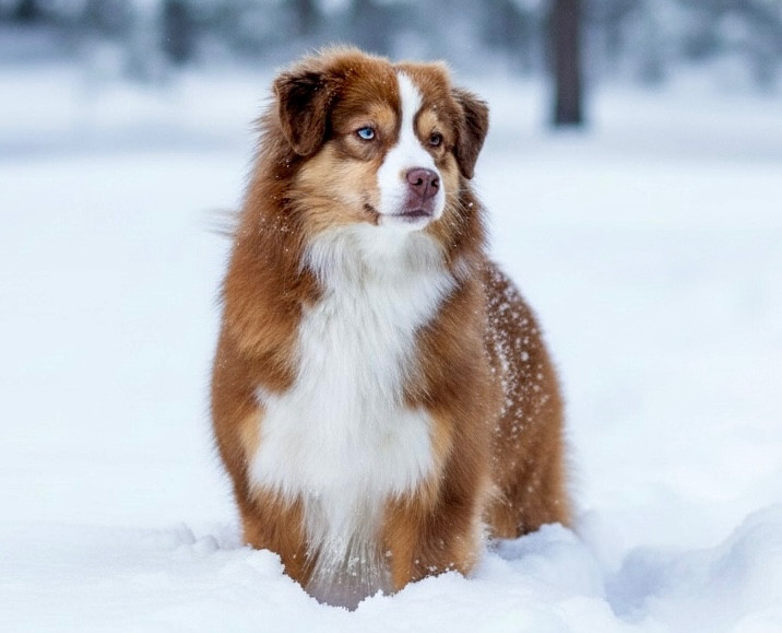 Une dernière dance kyo du Clos des duchesses