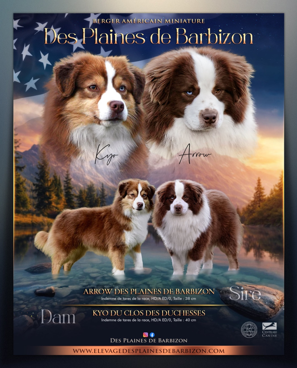 Nouveau mariage 2026