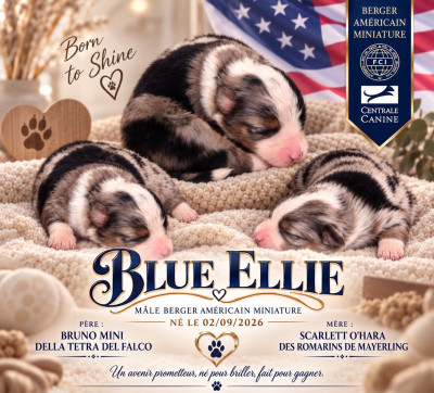 Blue ELLIE