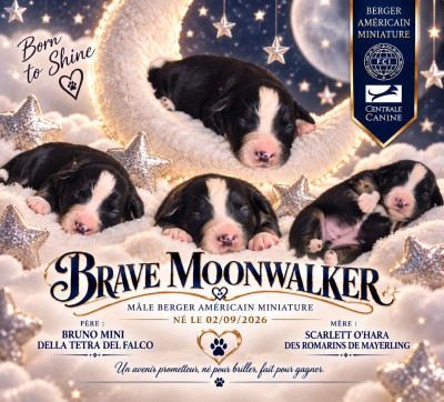 Brave Moon Walker